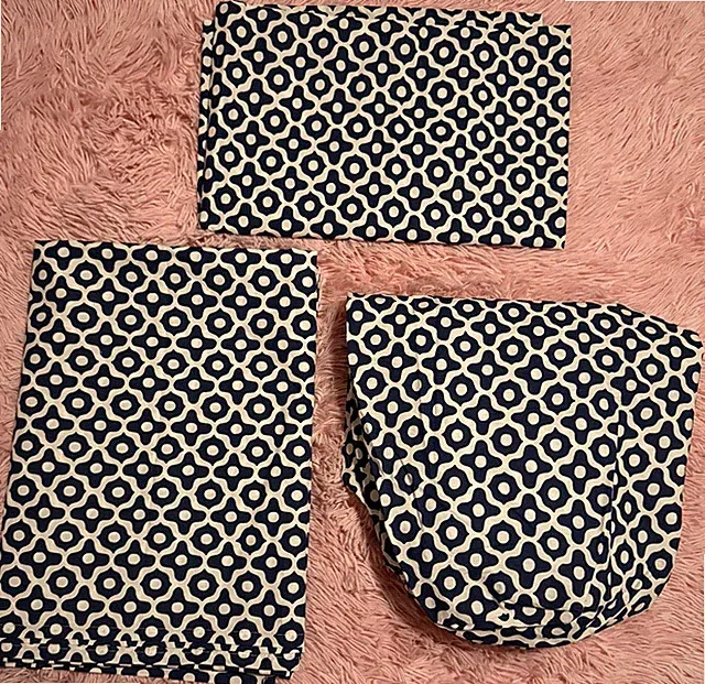 Pottery Barn Teen 3-piece Twin Sheet Set, Blue & White Cotton